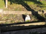 image of grave number 763503